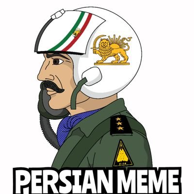 Persian__meme Profile Picture