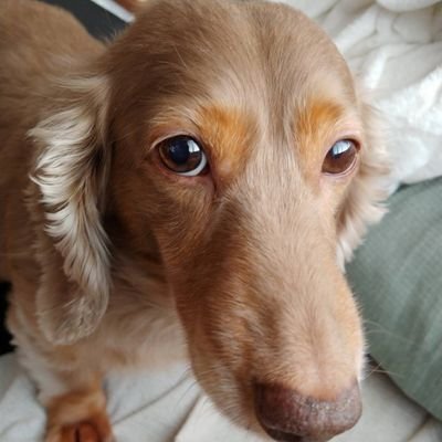 MF84903's profile picture. コンサドーレサポーター