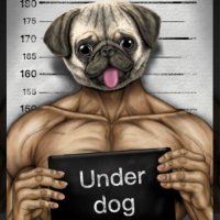 Underdogchallenge (@icsugiyama) 's Twitter Profile