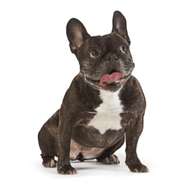 _elena_chan_'s profile picture. 紹介コード iHerb → 「CBV8259」中顔面2m級面長女型。病みがちな心情を独りごつ。