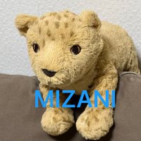 Mizani-ミザーニ 福岡メンズエステ (@mizani09972140) 's Twitter Profile