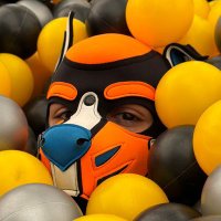 Marti (@pup_marti) 's Twitter Profile Photo Marti (@pup_marti) 's Twitter Profile Photo