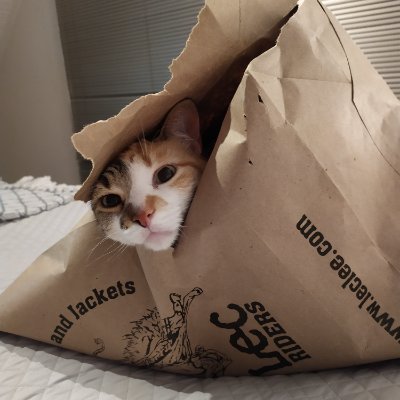 AmariaJuribe's profile picture. 