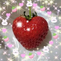 💞💀藍涙𝕏💀💞Anica1 (@i_run_run) 's Twitter Profile