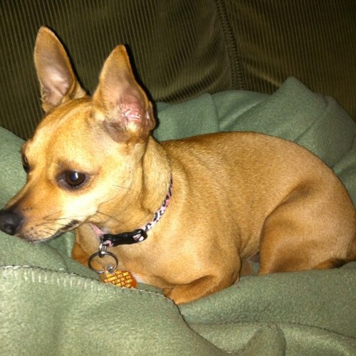 cbdavis75's profile picture. 