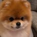 Itouhirohimi (@wkc9qo3kl7emte0) Twitter profile photo Itouhirohimi (@wkc9qo3kl7emte0) Twitter profile photo