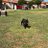 Eltovir_14's profile image
