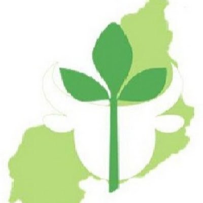 AdapiParnaiba's profile picture. 