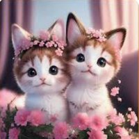 Liya (@liya__8) 's Twitter Profile