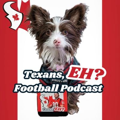 🇨🇦 with an unhealthy obsession for Houston Texans football, like it's bad. 

Feel free to rip my takes, I'm always right.

I also have a podcast, listen👇
