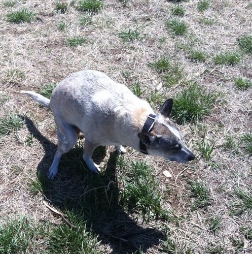 n8_nte's profile picture. 