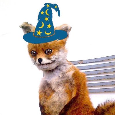 Z__Wizz's profile picture. moon or dust 🫛 be first, be smarter or cheat