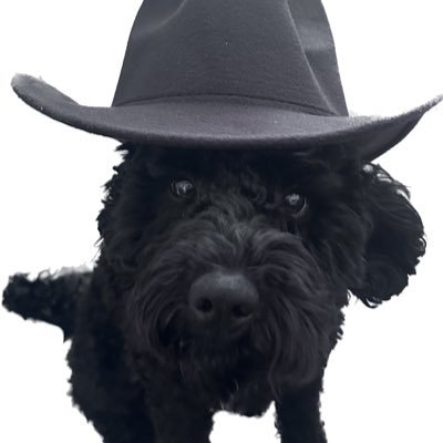 DiamondBear1924's profile picture. Diamond Bluenose ♦️🇬🇧