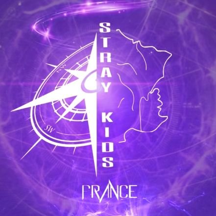 StrayKidsFrance Profile Picture