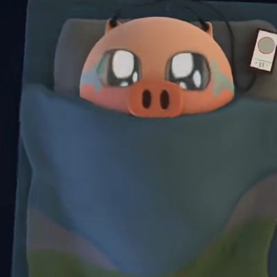 zhngzhn91048401's profile picture. 