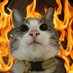 Noah Allen (@noahs1braincell) Twitter profile photo Noah Allen (@noahs1braincell) Twitter profile photo