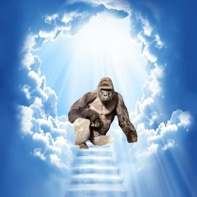 XxSecretCloudxX's profile picture. 