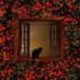 La gata de Schrödinger (@lalucecita_) Twitter profile photo La gata de Schrödinger (@lalucecita_) Twitter profile photo