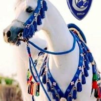 الفيصل (@fas2531) 's Twitter Profile