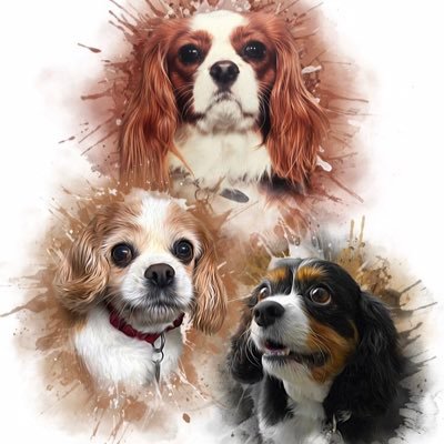 tommo808's profile picture. 