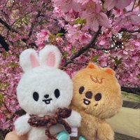 Cyrn✨ (@eroded_edges) Twitter profile photo