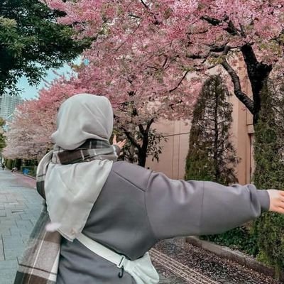 Happycoder20453's profile picture. folo 4 folo