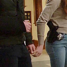 i only watch chicago pd for the plot (burzek)