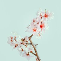 𝓑𝓪𝓭𝓪𝓵 ☁️ (@badalpatel_5800) 's Twitter Profile