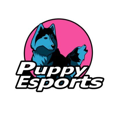 South Florida based team. Mostly focusing on SSBM and supporting the local community. Owner: @puppyssb