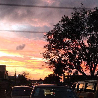 mensrrr's profile picture. Meh?