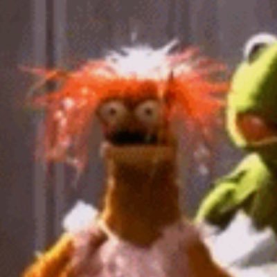 𝔸𝕤𝕙𝕝𝕖𝕪 Profile