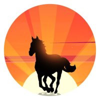 Not Vincent 🐎 (@sundownstable) 's Twitter Profile Photo Not Vincent 🐎 (@sundownstable) 's Twitter Profile Photo