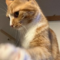 geo (@hellsbells69691) 's Twitter Profile Photo