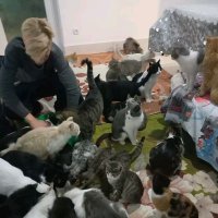 KHERSON ANIMAL SHELTER.UA (@animal_shelter0) 's Twitter Profile Photo KHERSON ANIMAL SHELTER.UA (@animal_shelter0) 's Twitter Profile Photo