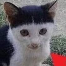 Litch69さんのプロフィール画像
