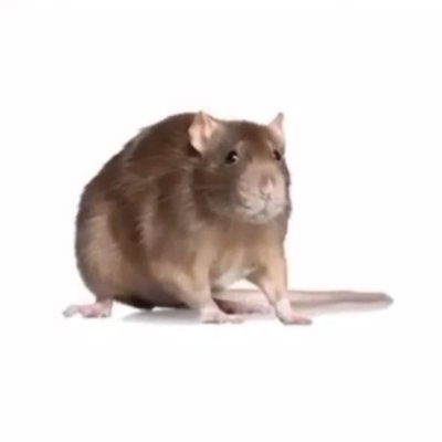 FResendizjaime's profile picture. Sex