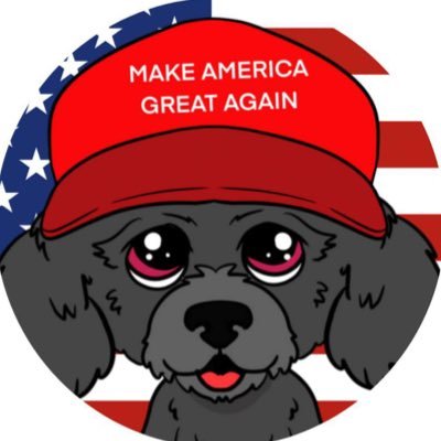 $CHOPPY Trump’s Dog

https://t.co/QTYuXNzo3V