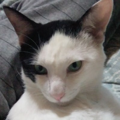 applemacosx0's profile picture. 