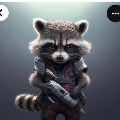 Rocketracoon143's profile picture. 