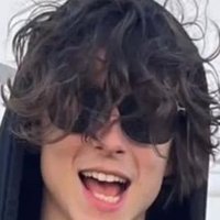 Timothée Chalamets Hair(@Tchalamethair) 's Twitter Profile Photo