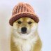 $BABYDOGWIFHAT (@babywifhat) Twitter profile photo $BABYDOGWIFHAT (@babywifhat) Twitter profile photo