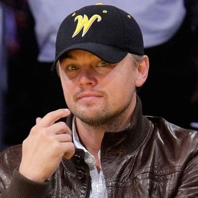 leonardo dicaprio defender