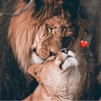 casperrmom (@casperrmom) 's Twitter Profile