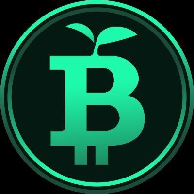 Green Bitcoin is a gamified staking platform that allows participants to earn rewards by predicting #Bitcoin💲price action