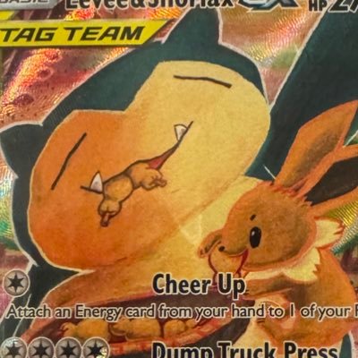 TeamCampmatch Profile Picture