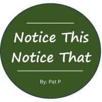 Notice This Notice That By: Pat P(@NoticethisNthat) 's Twitter Profile Photo
