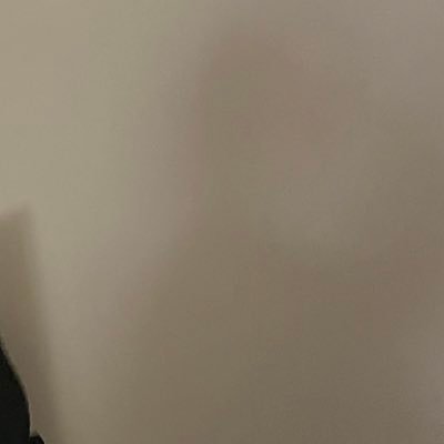 amelia95505537's profile picture. 