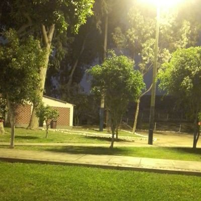 21 años
Estudiante universitario de dia 🌇, Trabajador explotado de noche 🌃y Morboso a 1000% en ratos libres 😈😈😈