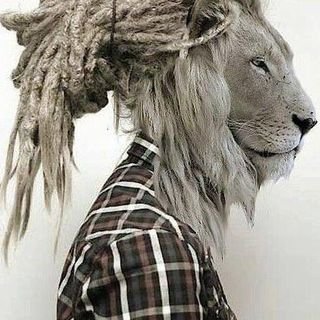 sfrt03's profile picture. 