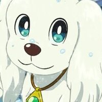 ぺこ (@si_xpttt) 's Twitter Profile